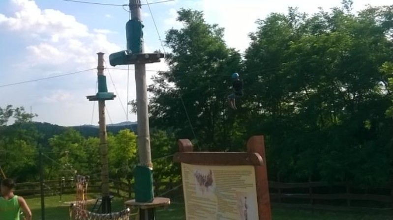 WP_20150701_161.jpg