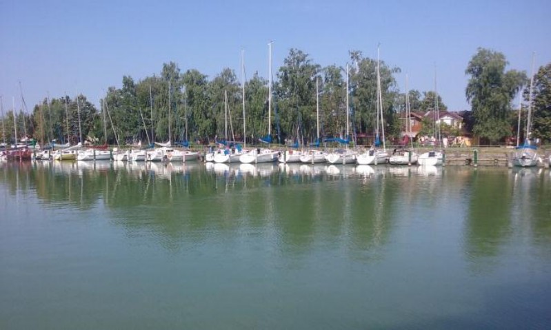 20150702_093008.jpg