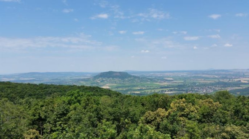 20150702_115116.jpg