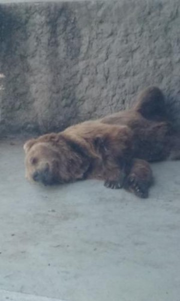 20150630_155646.jpg