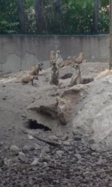 20150630_161444.jpg