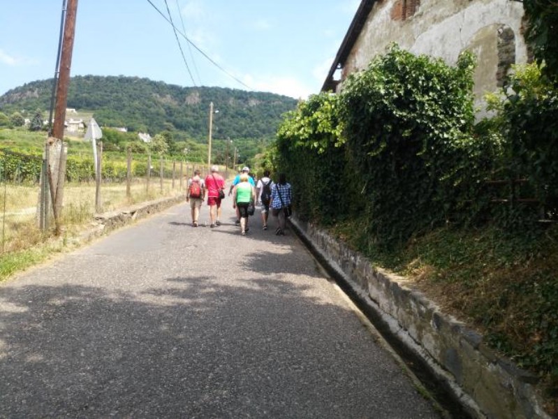 20150702103828.jpg