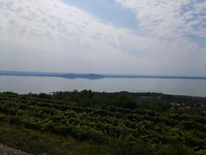 20150702110953.jpg