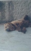 20150630_155646.jpg
