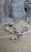 20150630_160929.jpg